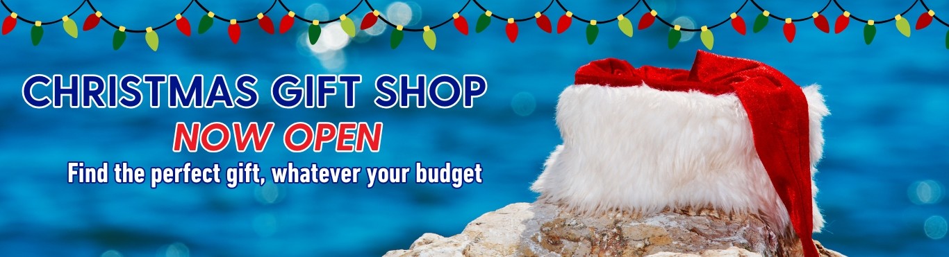 Christmas Gift Shop