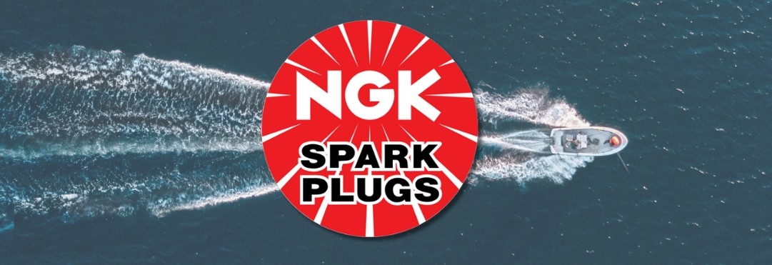 NGK Spark Plugs