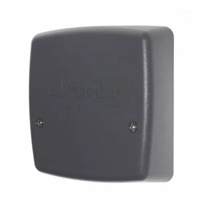 Raymarine Wireless Interface