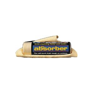 The Absorber