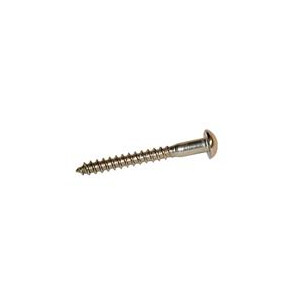 Stainless Steel Roundhead Woodscrew