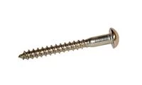 Holt Stainless Steel Roundhead Woodscrew 