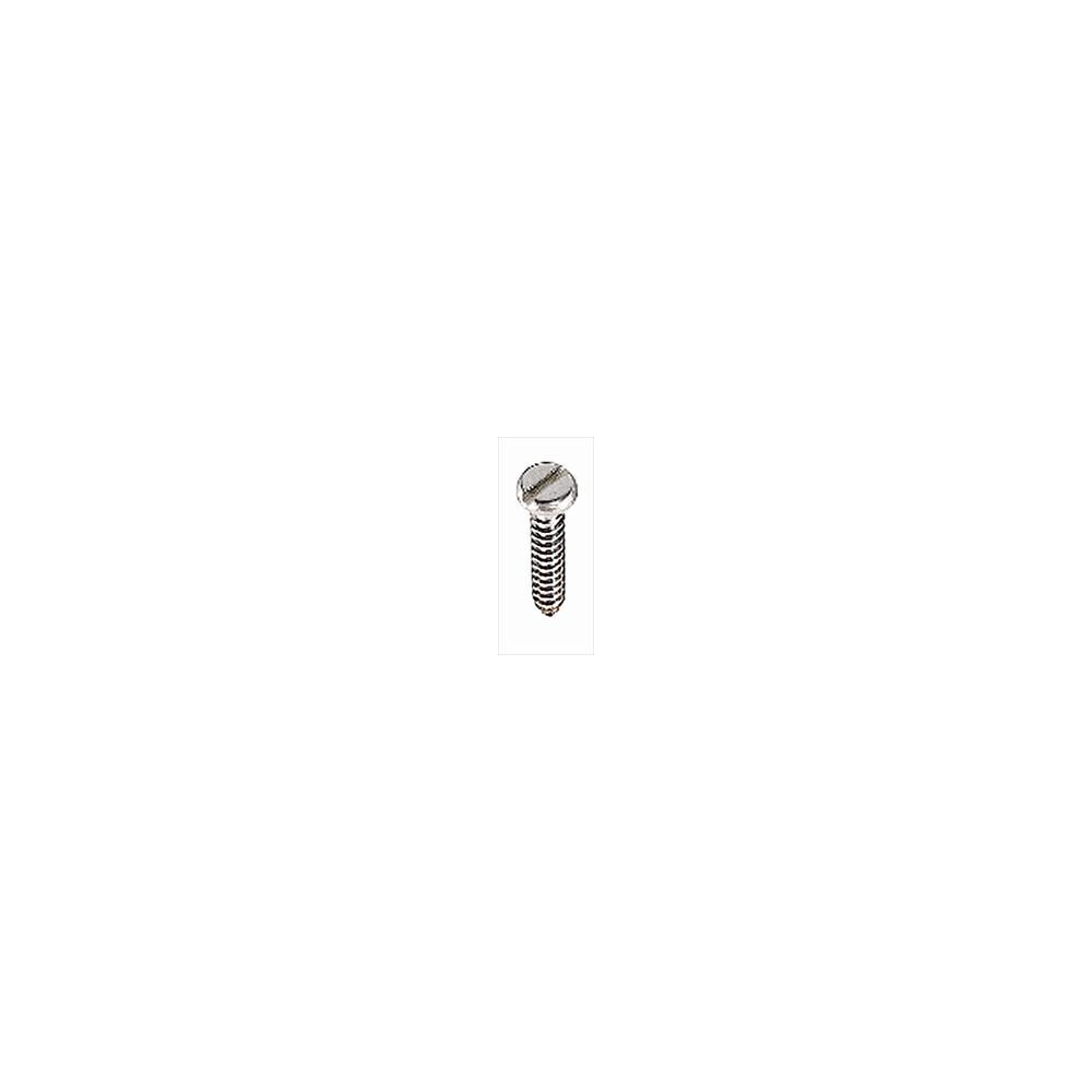 A4 Stainless Steel Panhead Self Tapper
