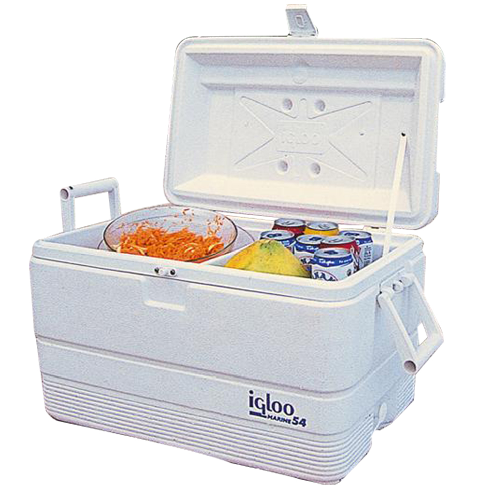 Igloo 54 Portable Ice Chest