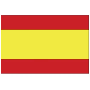 Force 4 Courtesy Flag Spain