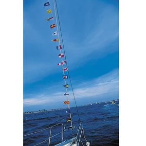 Force 4 String of 40 Code Flags set 