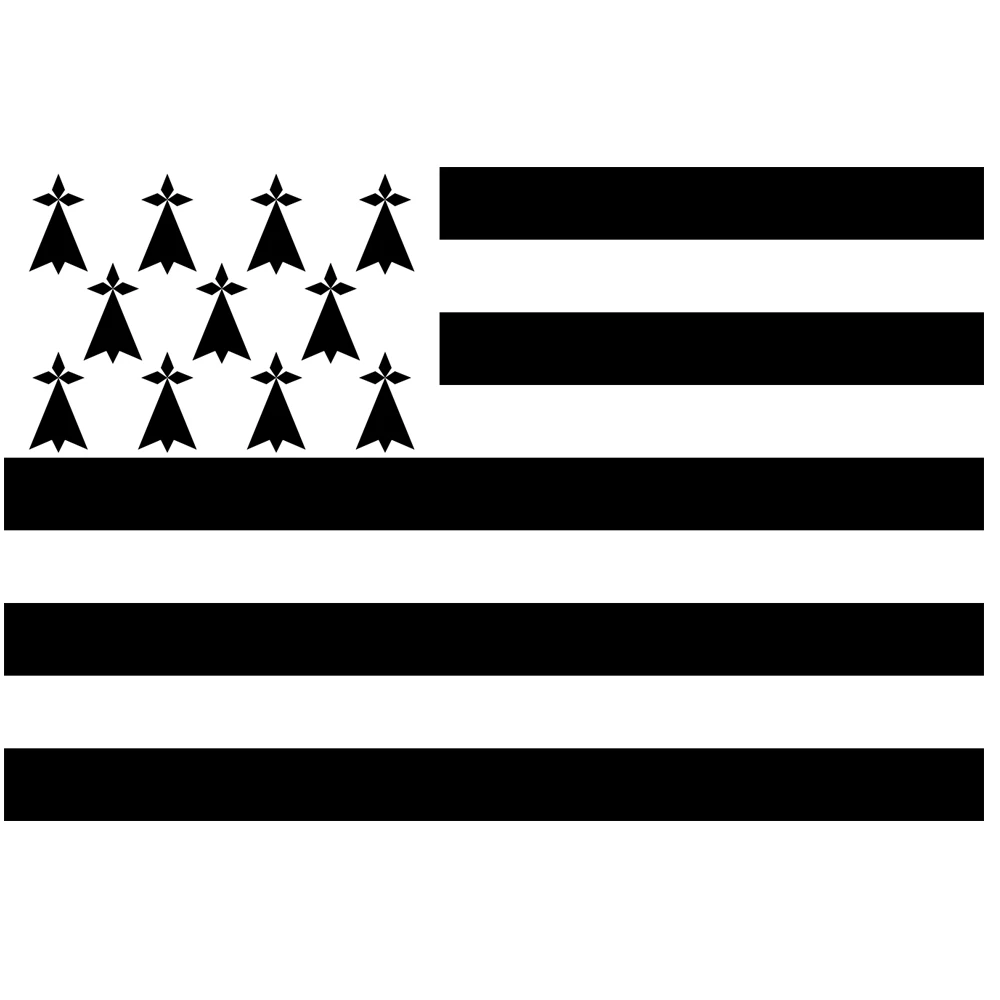 Force 4 Courtesy Flag Breton / Brittany