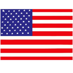 Force 4 Courtesy Flag USA