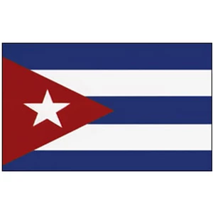 Force 4 Courtesy Flag Cuba
