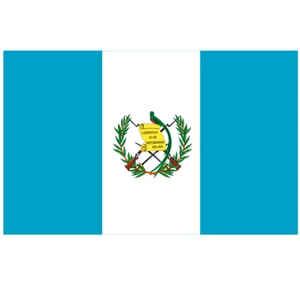 Force 4 Courtesy Flag Guatemala 