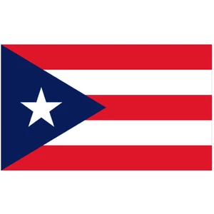 Force 4 Courtesy Flag Puerto Rico