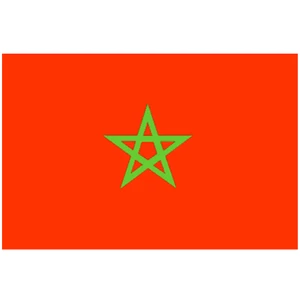 Force 4 Courtesy Flag Morocco 