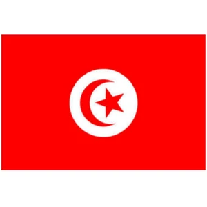 Force 4 Courtesy Flag Tunisia 
