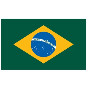 Force 4 Courtesy Flag Brazil