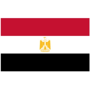 Force 4 Courtesy Flag Egypt 