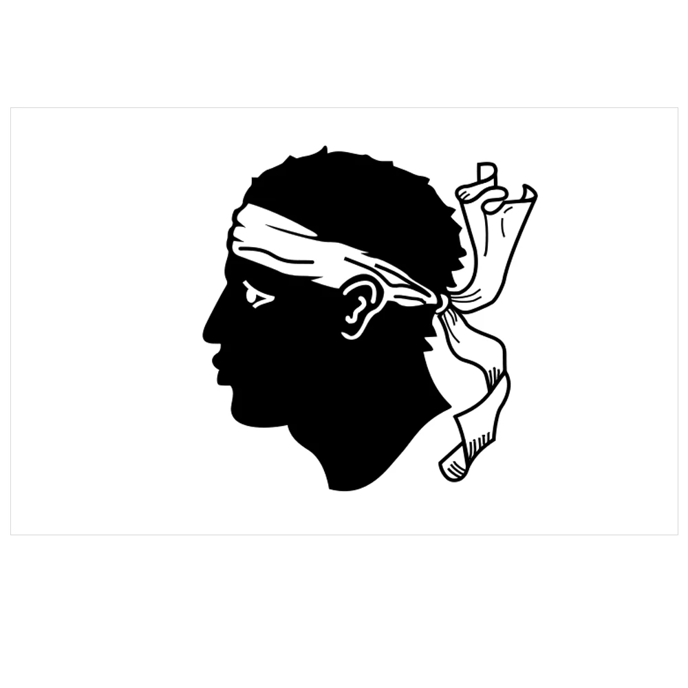 Force 4 Courtesy Flag Corsica 