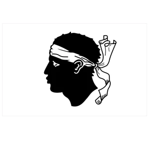 Force 4 Courtesy Flag Corsica 