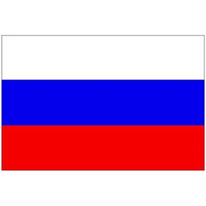 Force 4 Courtesy Flag Russia