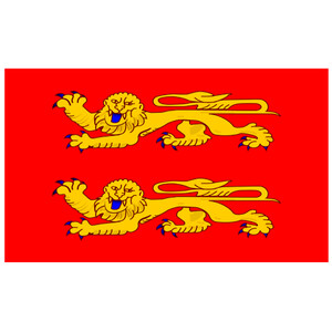 Courtesy Flag Normandy