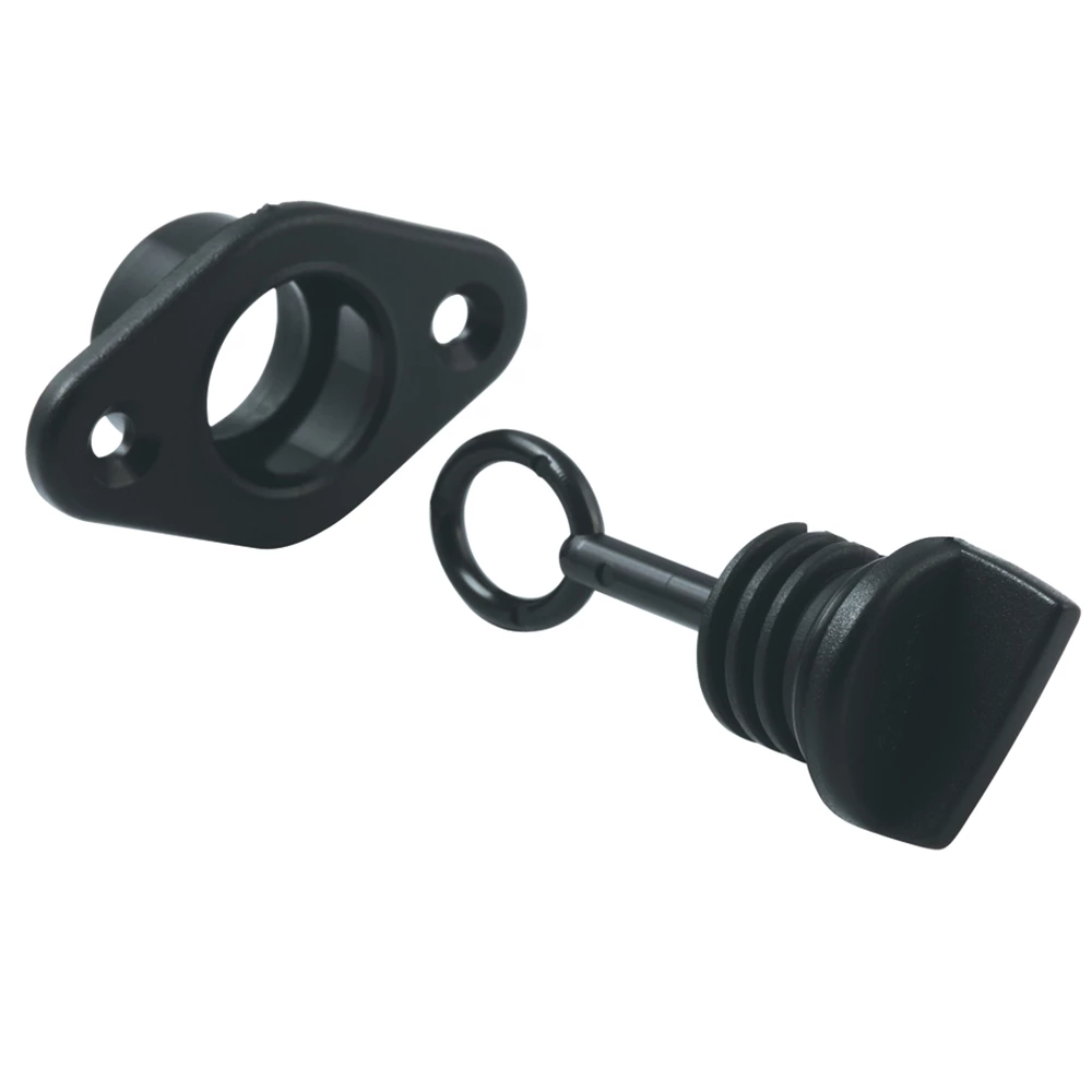 Allen Screw Bung With Socket  (2pk) 