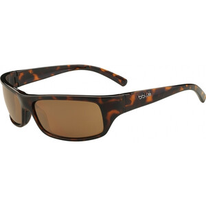 Fierce sunglasses - Shiny Tortoise - Polarised A14 Ol
