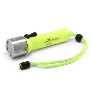 Dive Torch