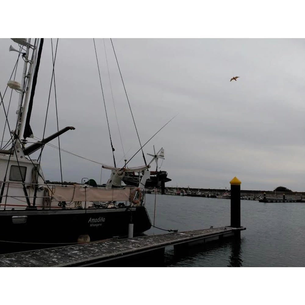 Falcon bird scarer / preventer