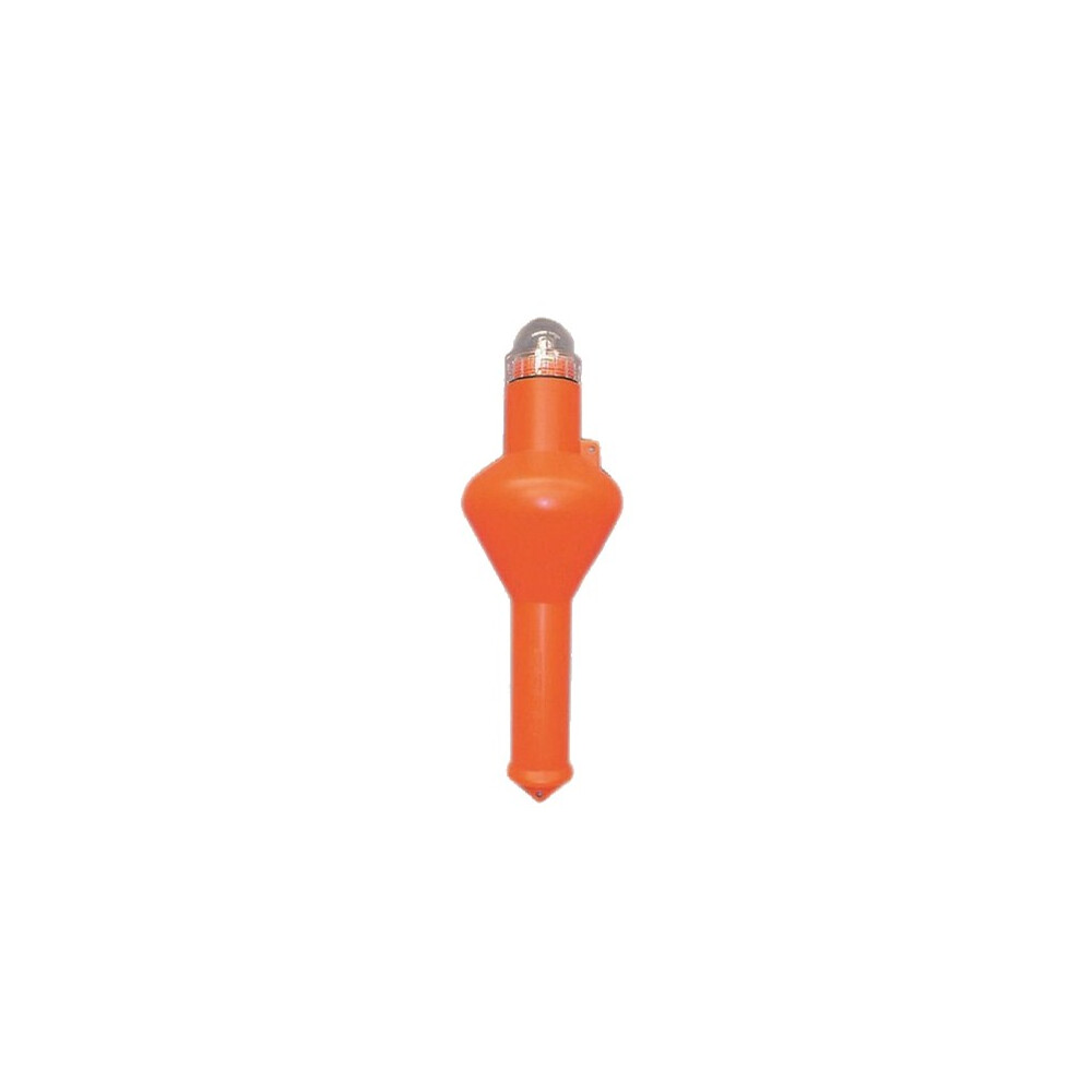 Flashing Lifebuoy Light