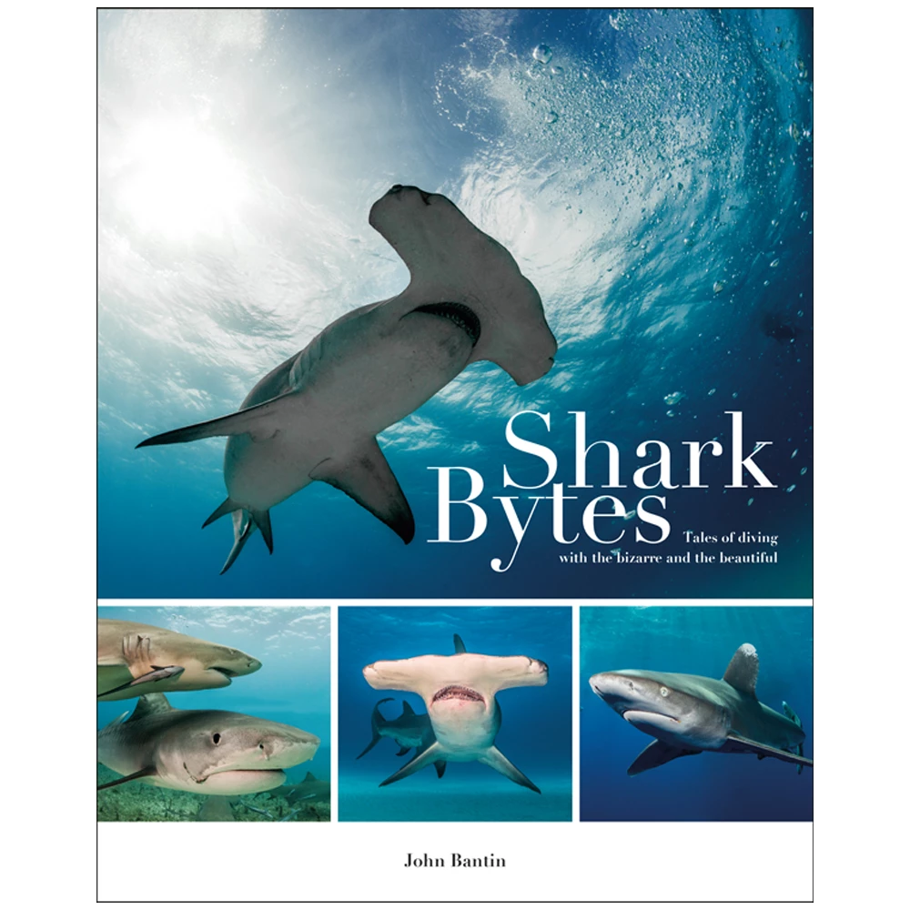 Shark Bytes