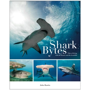 Fernhurst Shark Bytes