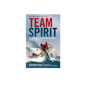 Team Spirit (Hardback)