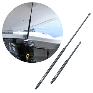 Telescopic Gas Spring