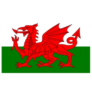 Force 4 Courtesy Flag Wales