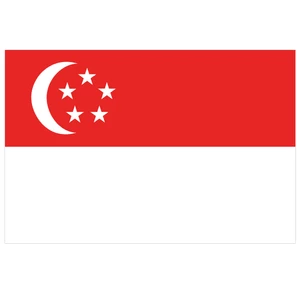 Force 4 Courtesy Flag Singapore
