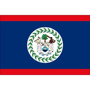 Force 4 Courtesy Flag Belize 