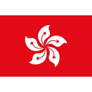 Force 4 Courtesy Flag Hong Kong 