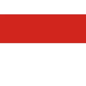 Force 4 Courtesy Flag Indonesia 