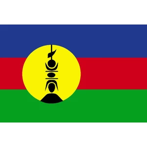 Force 4 Courtesy Flag New Caledonia 