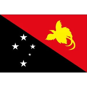 Force 4 Courtesy Flag Papua New Guinea