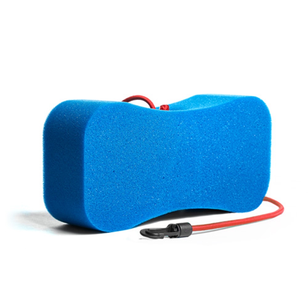 Bungee Spongee
