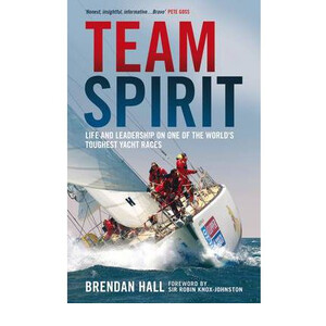 Team Spirit (Hardback)