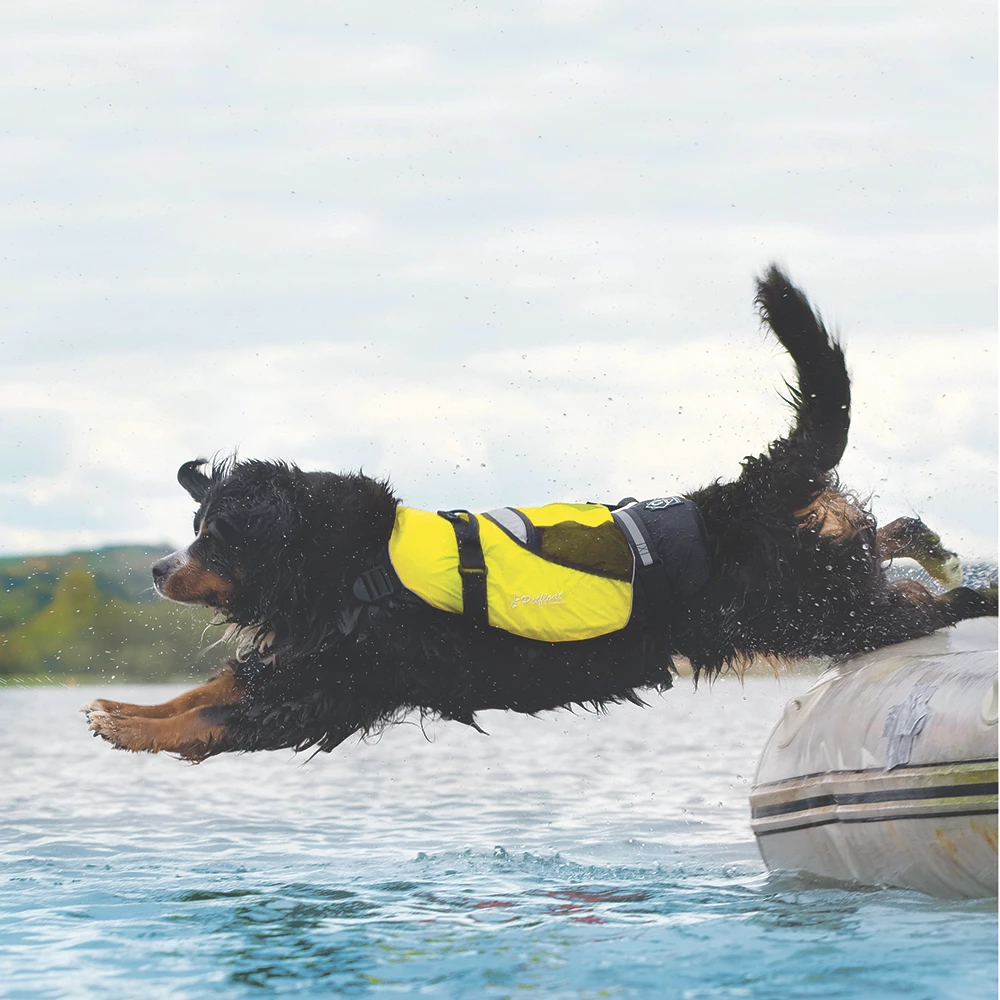 Crewsaver Petfloat Dog Life Jacket - Yellow/Black 