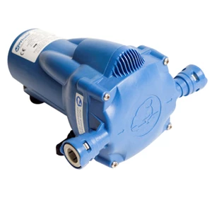 Whale Watermaster Pumps