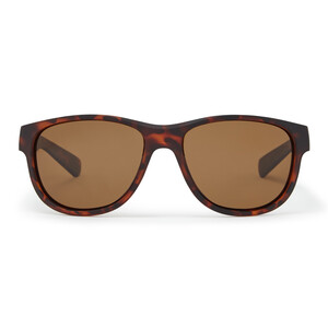 Coastal Sunglasses