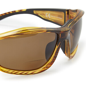 Race Vision Bi-Focal Sunglasses - +2.5