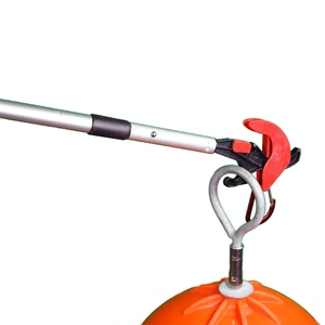 Scrubbis Catching Boat Hook with Extending Pole 