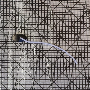 Seasure FLO Tell Tales (6pk)