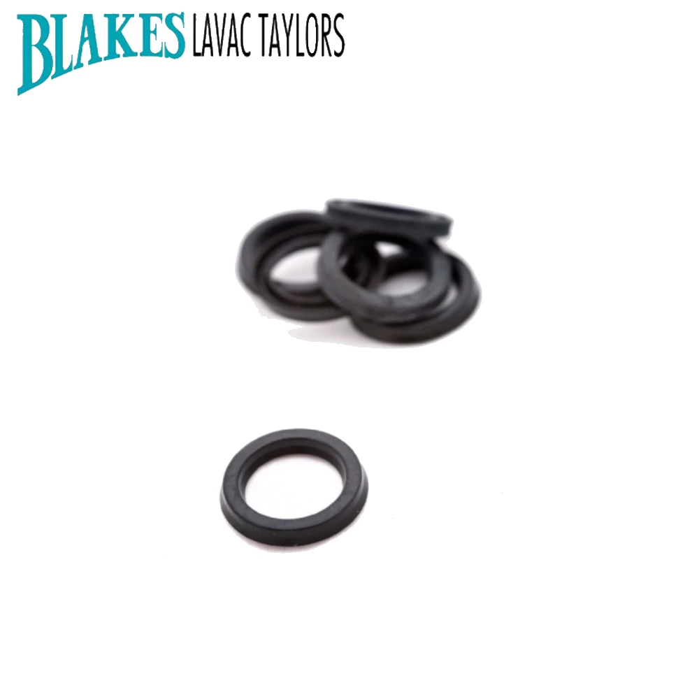 Blakes Lip Seal 16mm for Victory