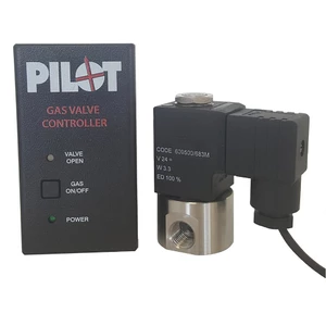 Pilot Gas Valve Controller 12V