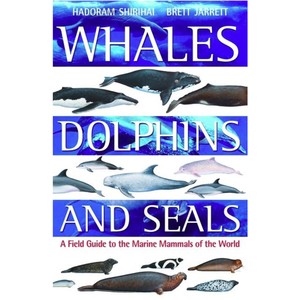 Whales Dolphins & Seals 